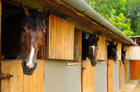 free Cleedownton stable construction quotes